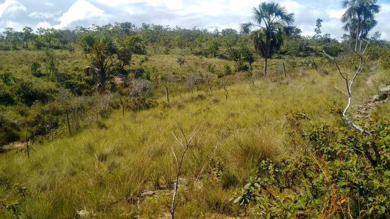 Fazenda de 2.063 ha em João Pinheiro, MG
