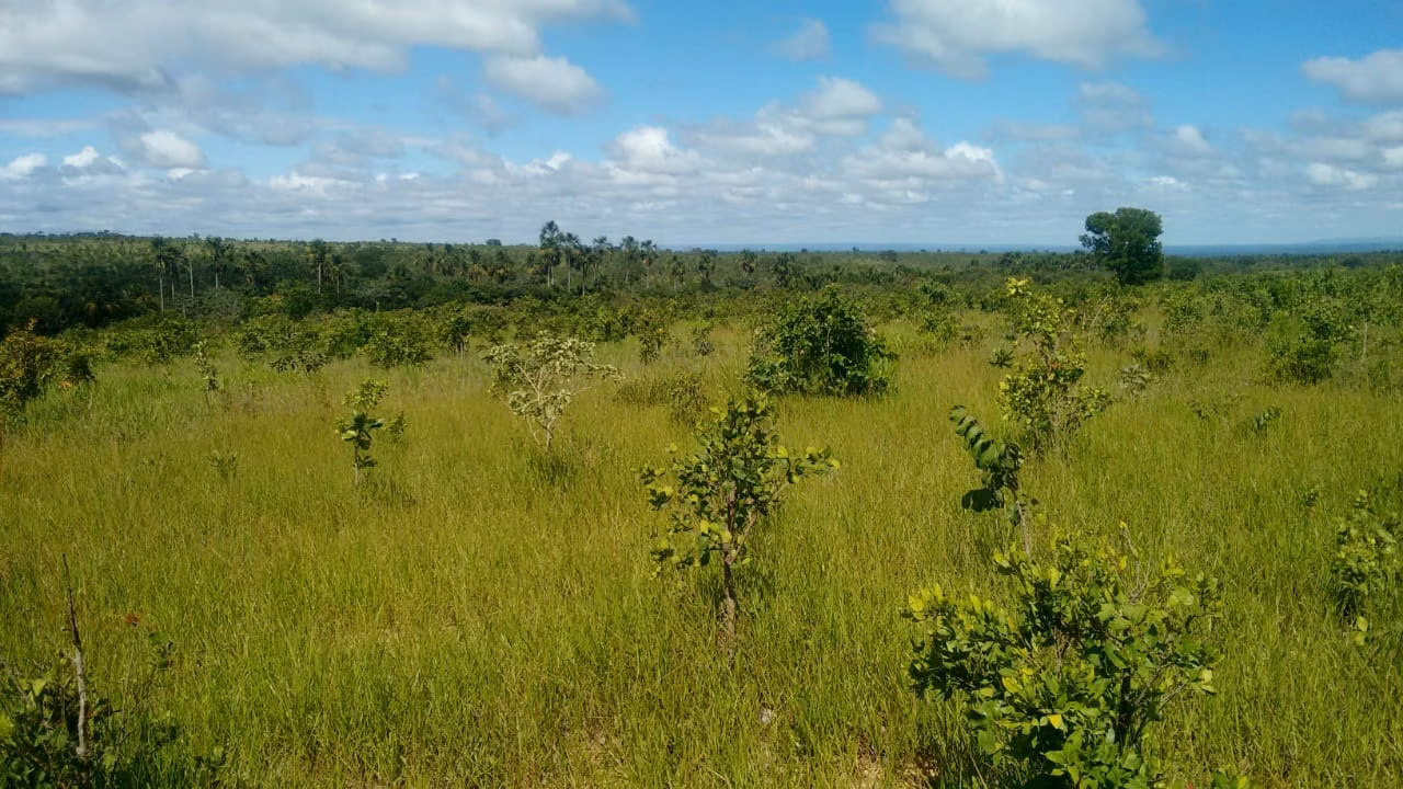 Fazenda de 2.063 ha em João Pinheiro, MG