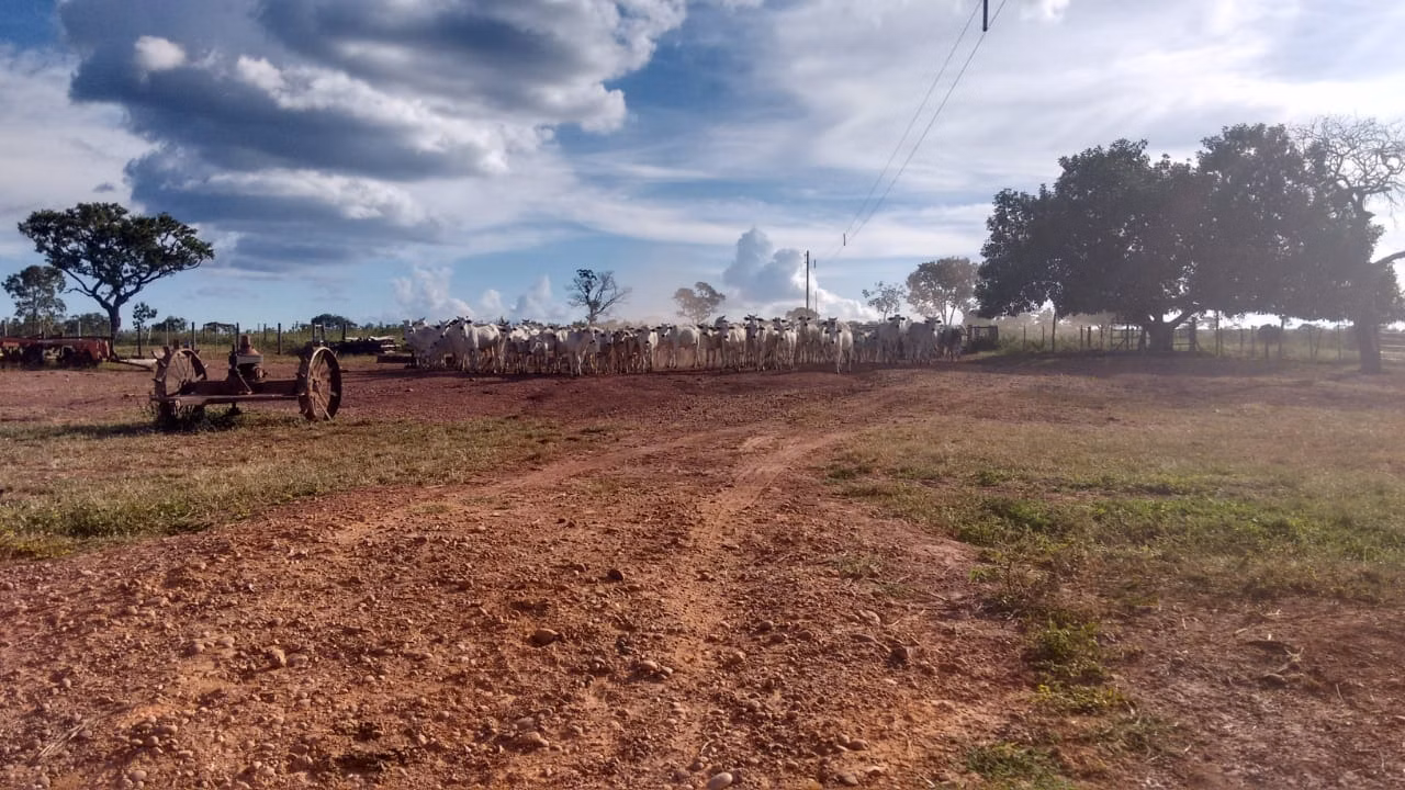 Fazenda de 2.063 ha em João Pinheiro, MG
