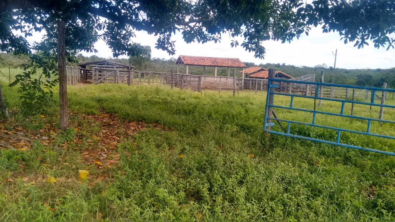 Fazenda de 2.063 ha em João Pinheiro, MG