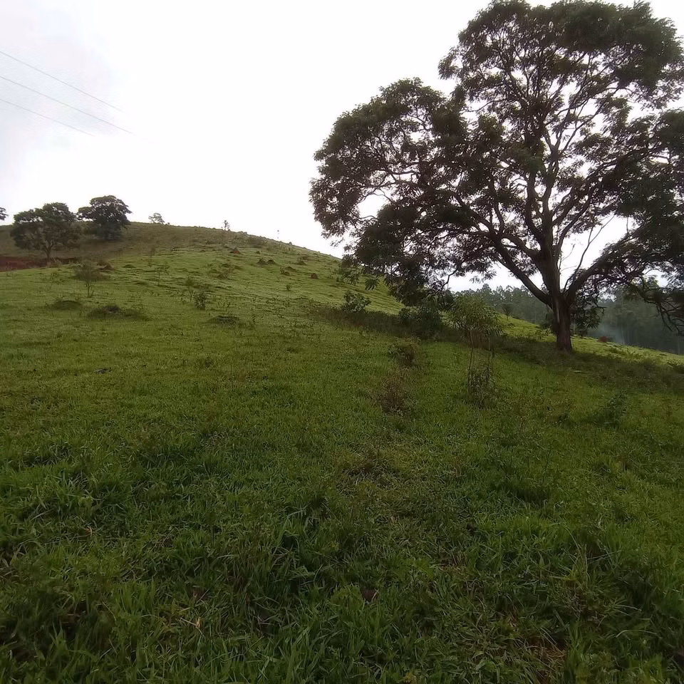 Terreno de 3 ha em Paraibuna, SP