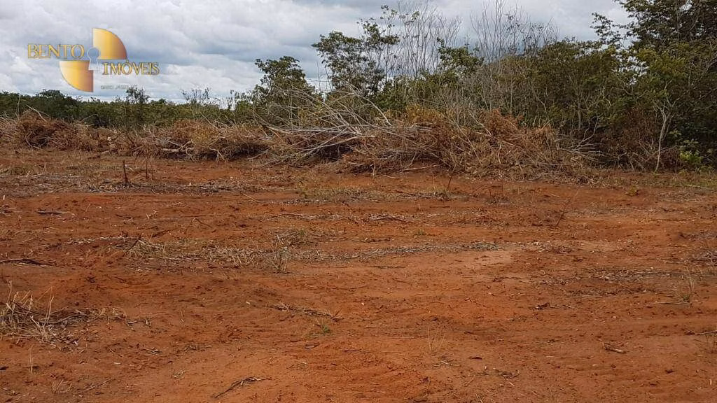 Fazenda de 2.095 ha em Nova Mutum, MT