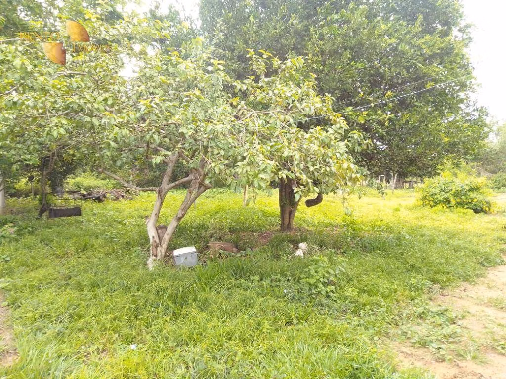 Fazenda de 600 ha em Chapada dos Guimarães, MT