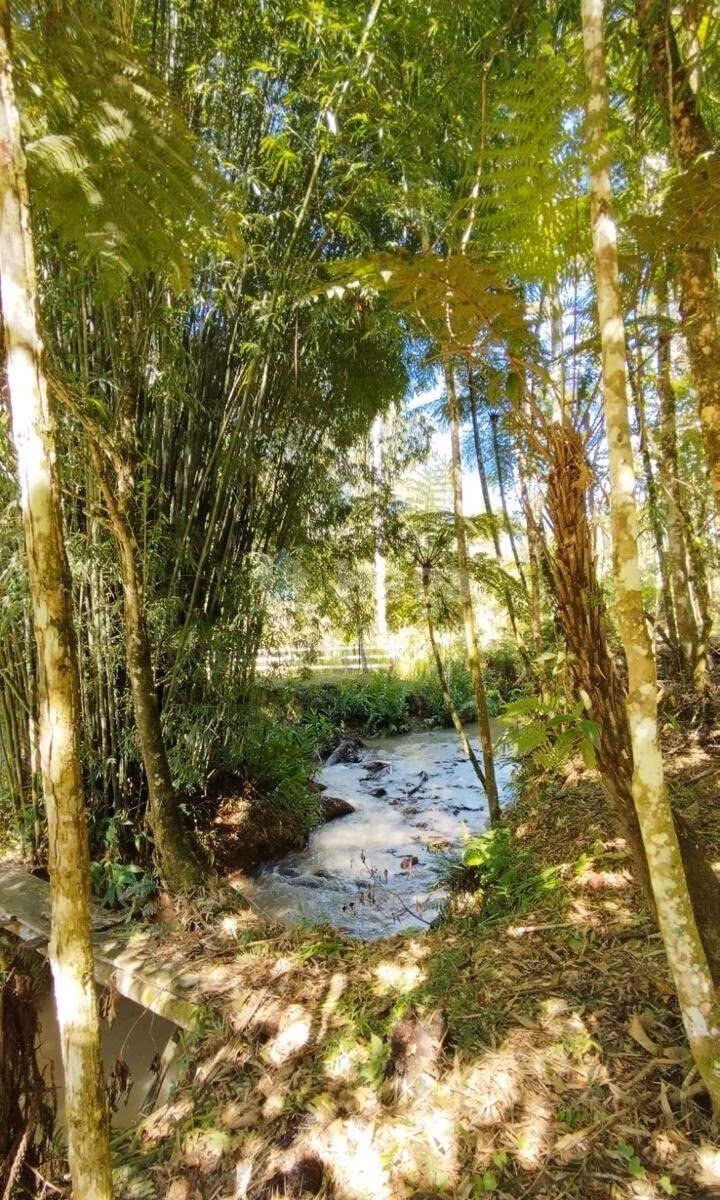 Terreno de 3 ha em Nova Trento, SC