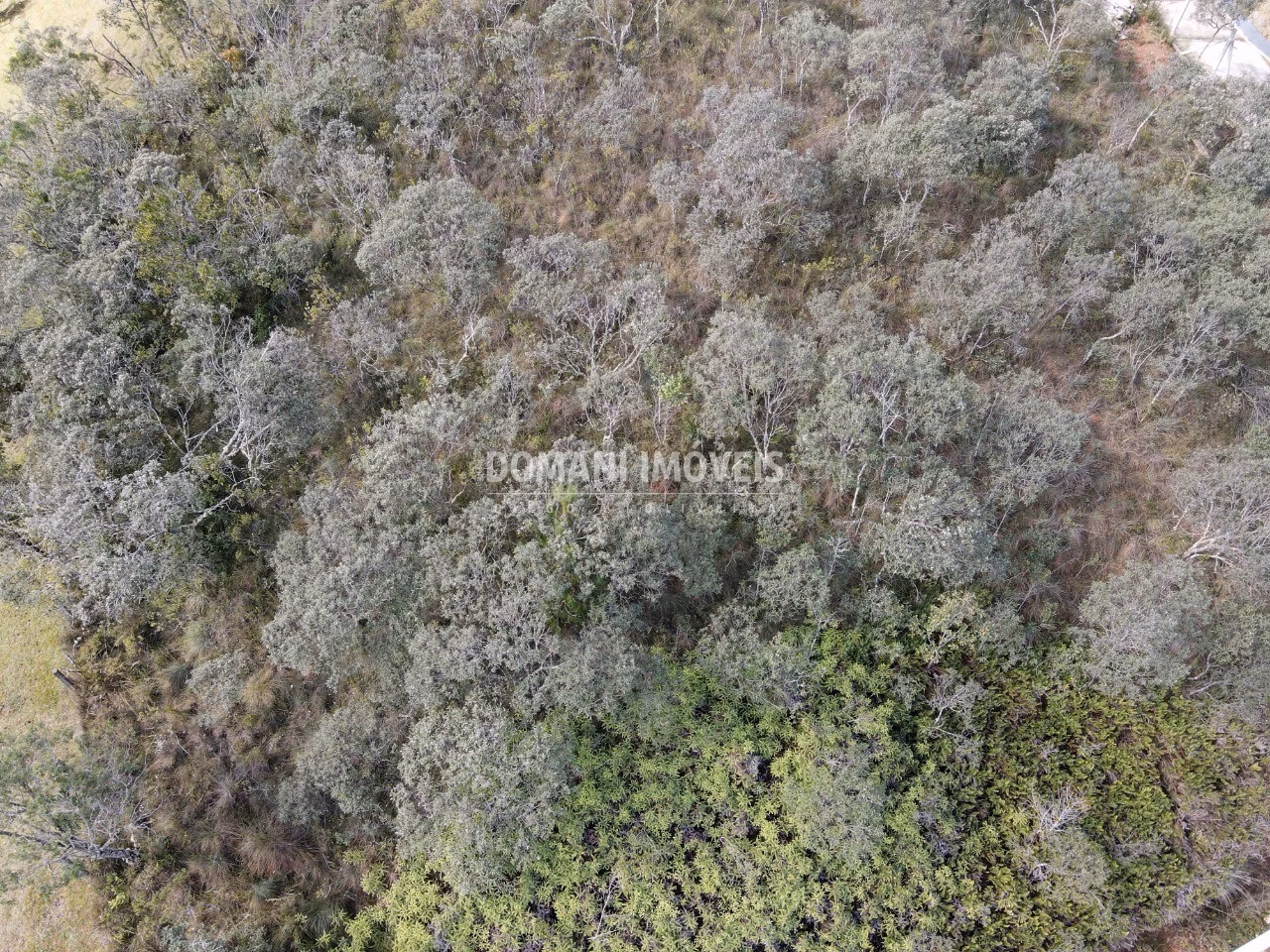Plot of 1,250 m² in Campos do Jordão, SP, Brazil