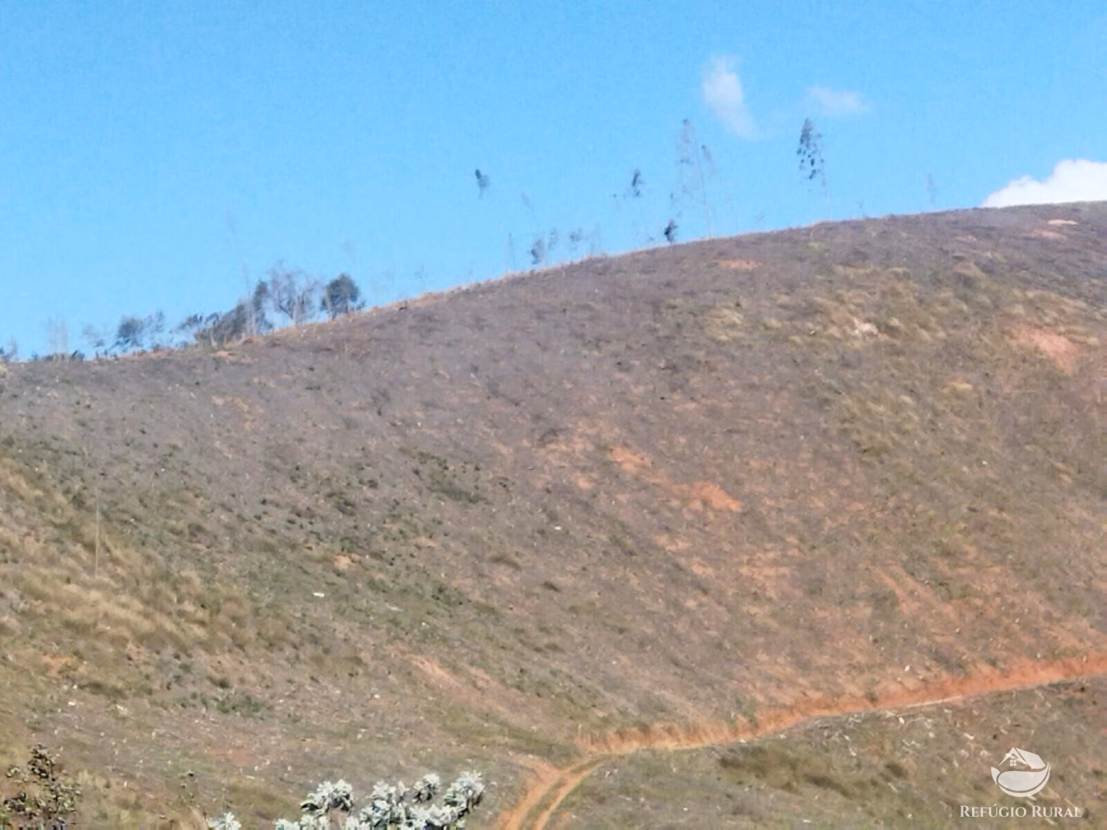 Terreno de 4 ha em Monteiro Lobato, SP