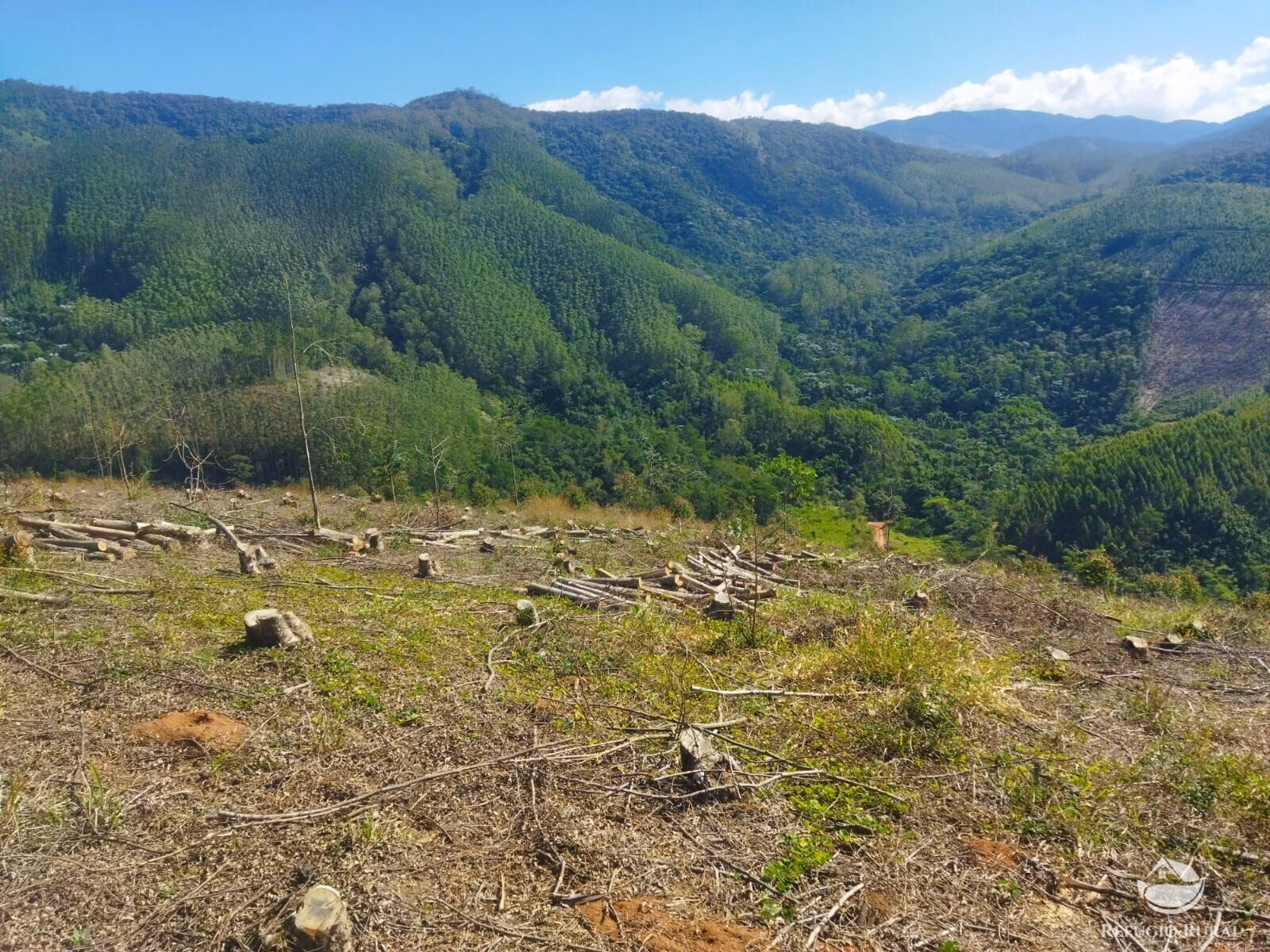 Terreno de 4 ha em Monteiro Lobato, SP