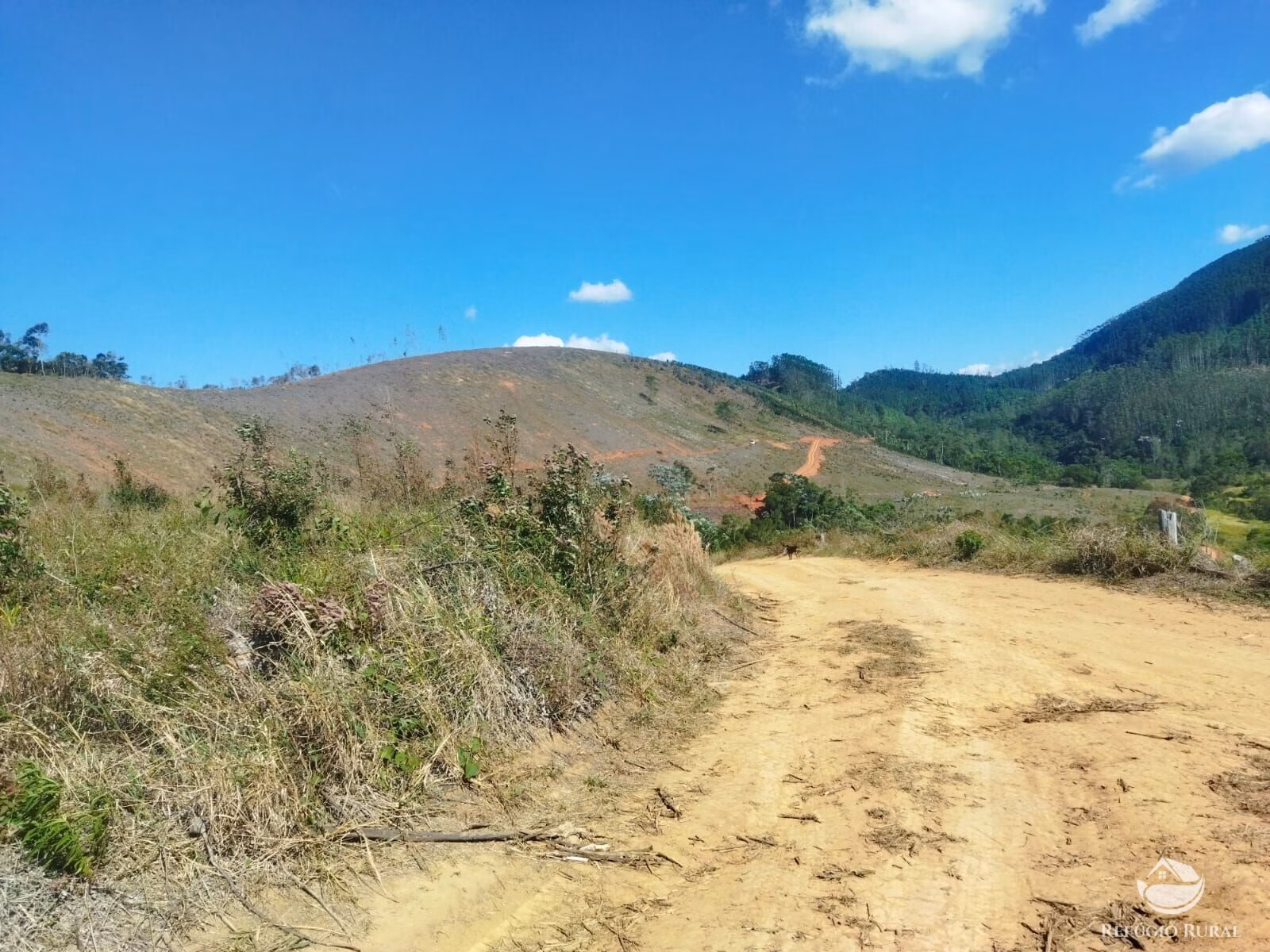 Terreno de 4 ha em Monteiro Lobato, SP