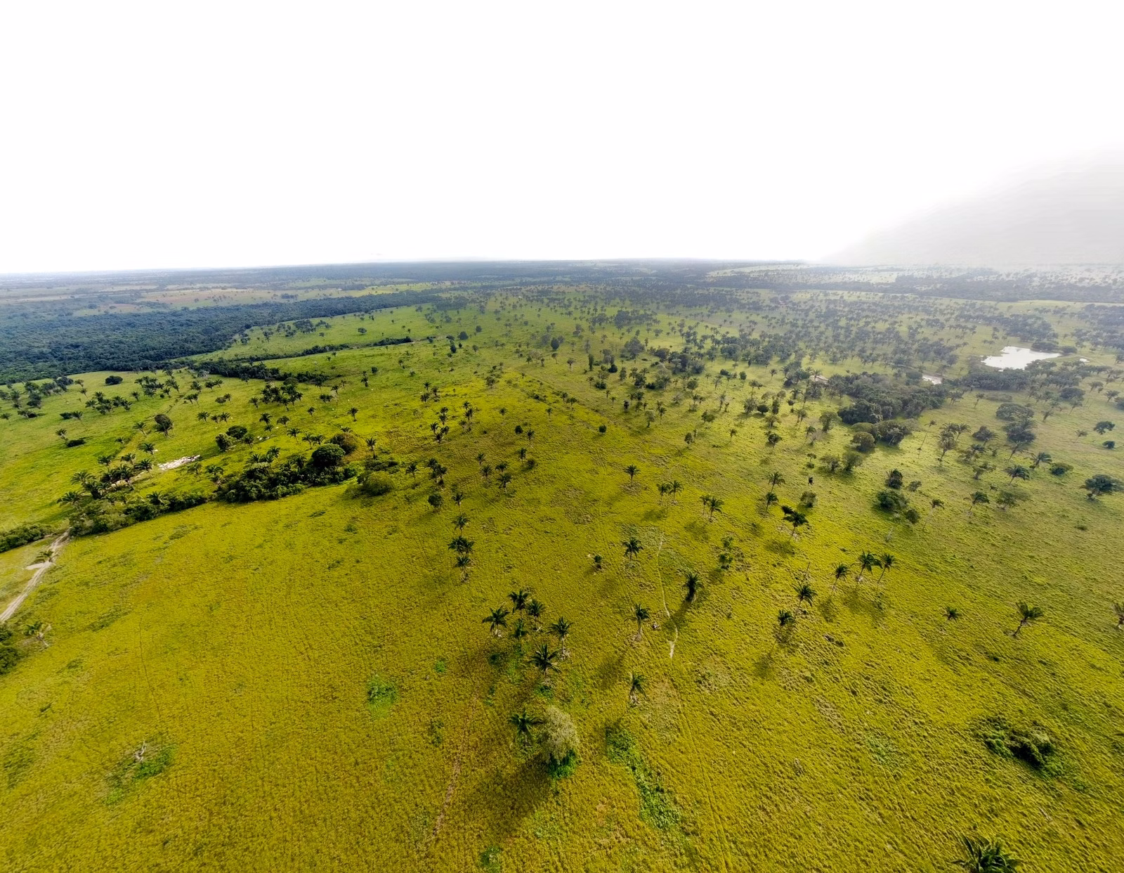Fazenda de 811 ha em Araguaína, TO