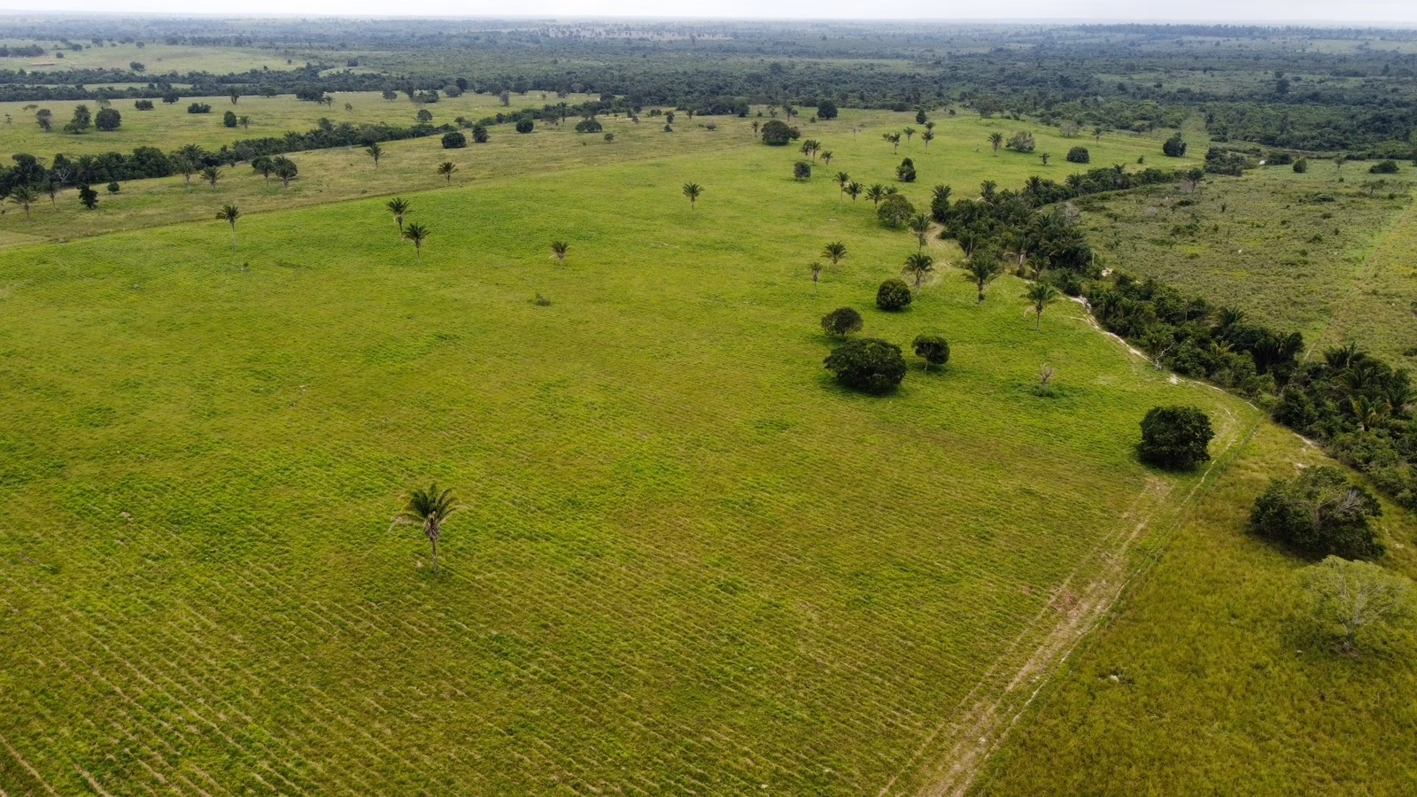 Fazenda de 811 ha em Araguaína, TO