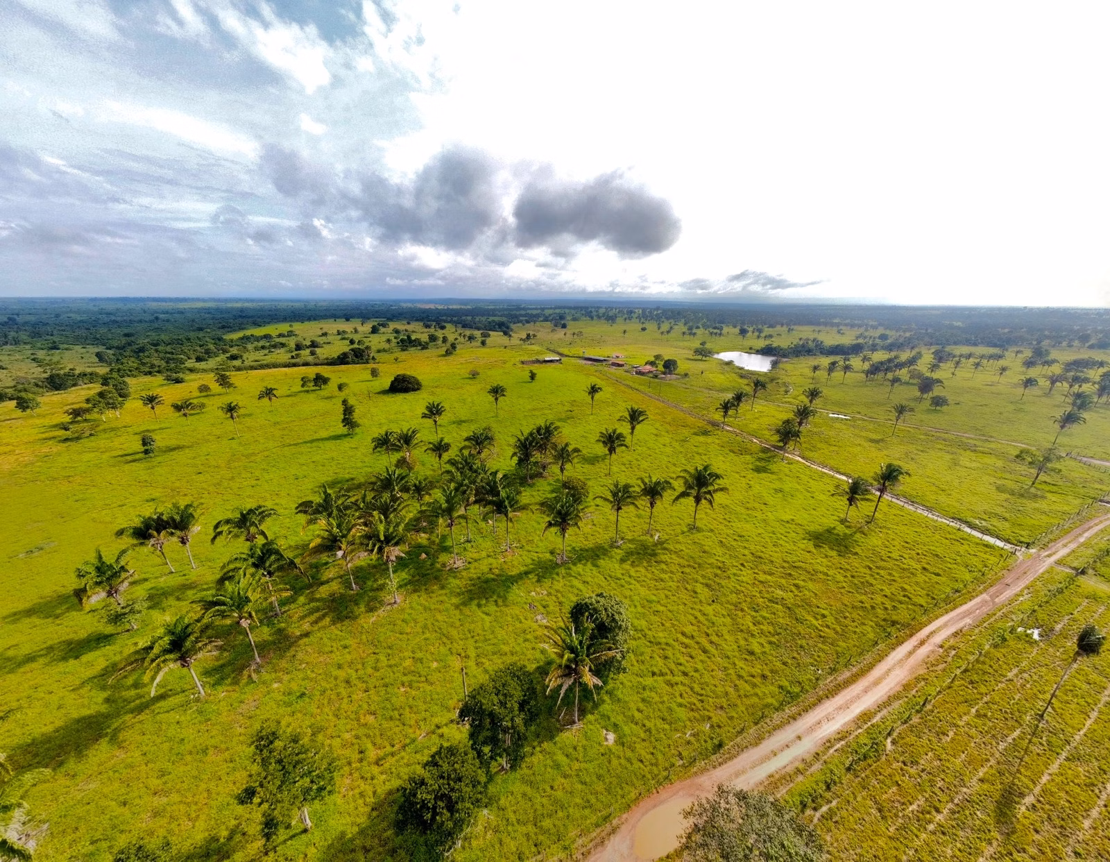 Fazenda de 811 ha em Araguaína, TO