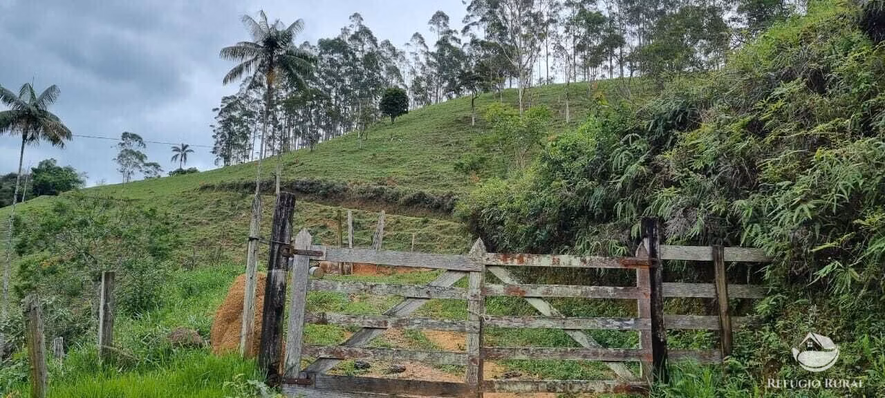 Sítio de 7 ha em São José dos Campos, SP