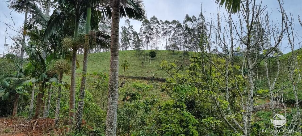 Sítio de 7 ha em São José dos Campos, SP
