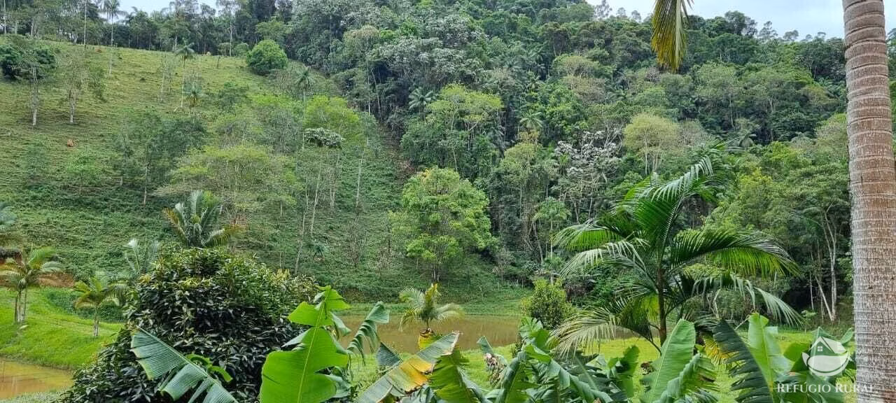 Sítio de 7 ha em São José dos Campos, SP