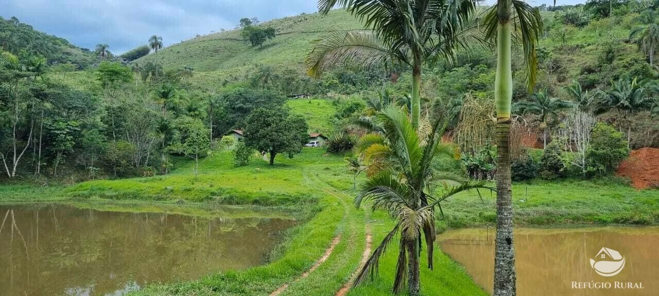 Sítio de 7 ha em São José dos Campos, SP