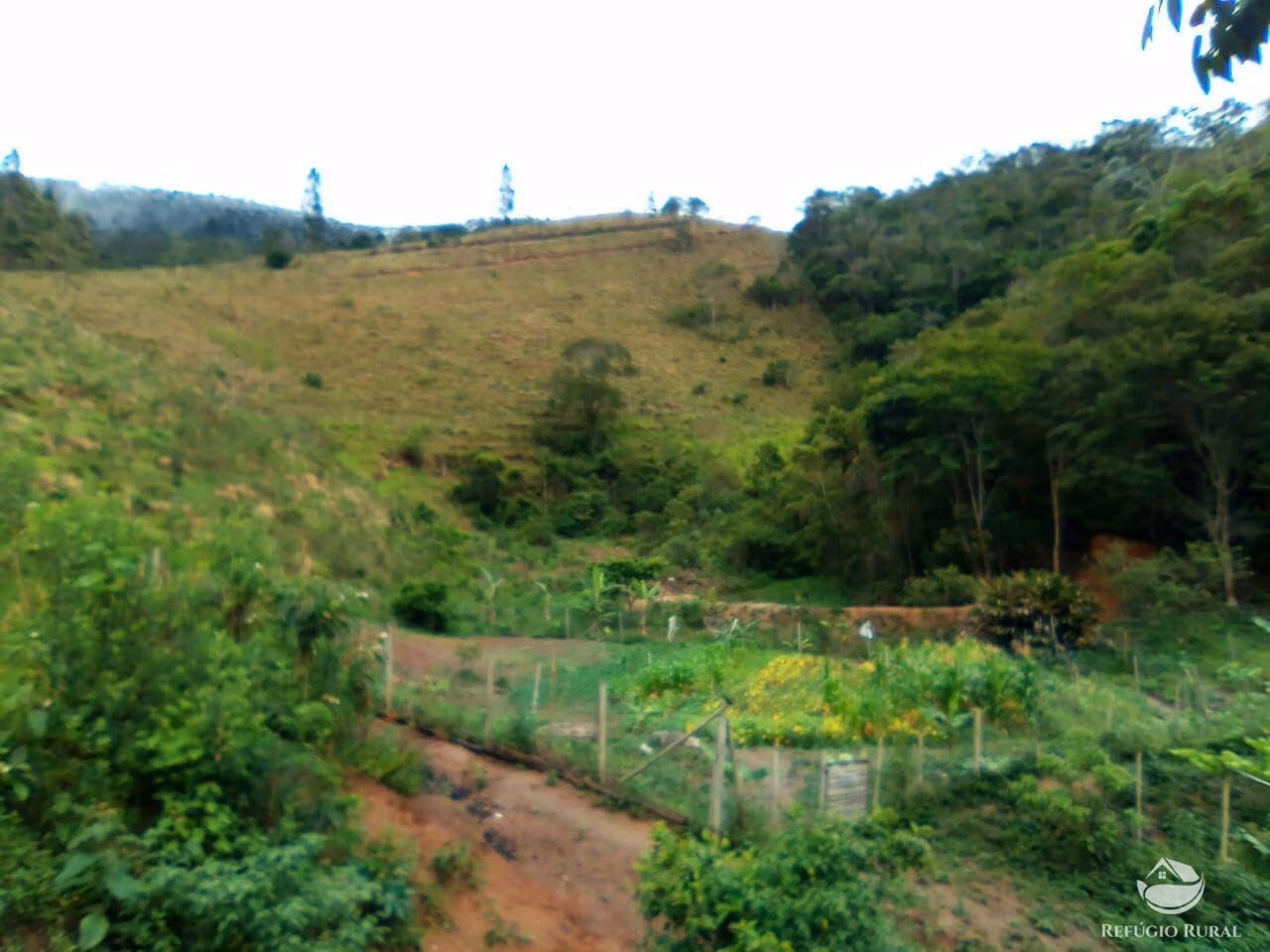Small farm of 63 acres in Natividade da Serra, SP, Brazil