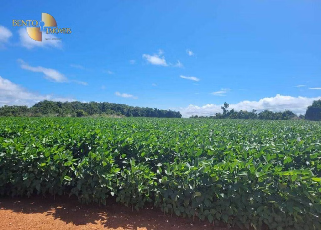 Fazenda de 1.144 ha em Diamantino, MT