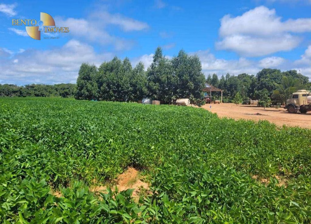 Fazenda de 1.144 ha em Diamantino, MT