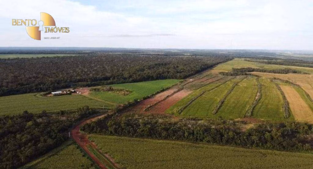 Fazenda de 1.144 ha em Diamantino, MT