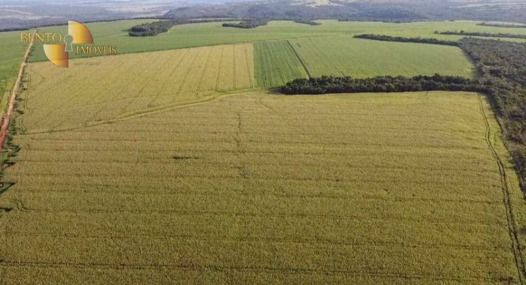 Fazenda de 1.144 ha em Diamantino, MT