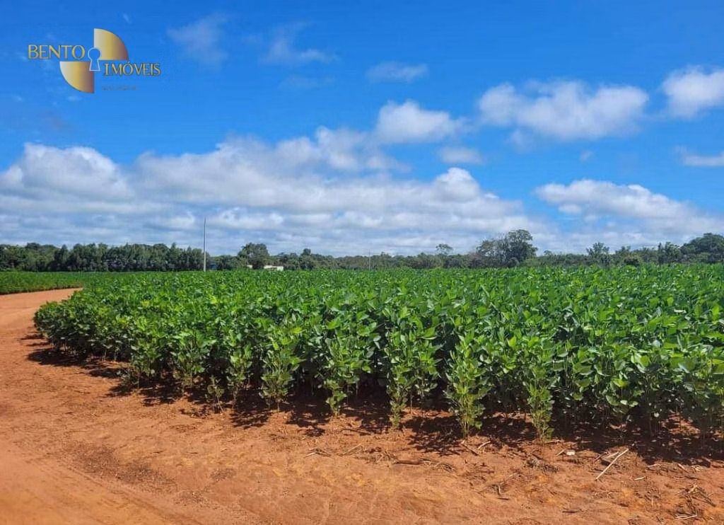 Fazenda de 1.144 ha em Diamantino, MT
