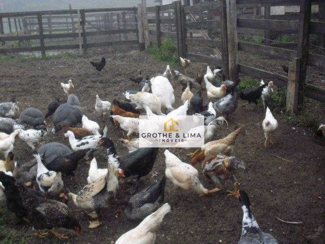 Fazenda de 109 ha em Jacareí, SP