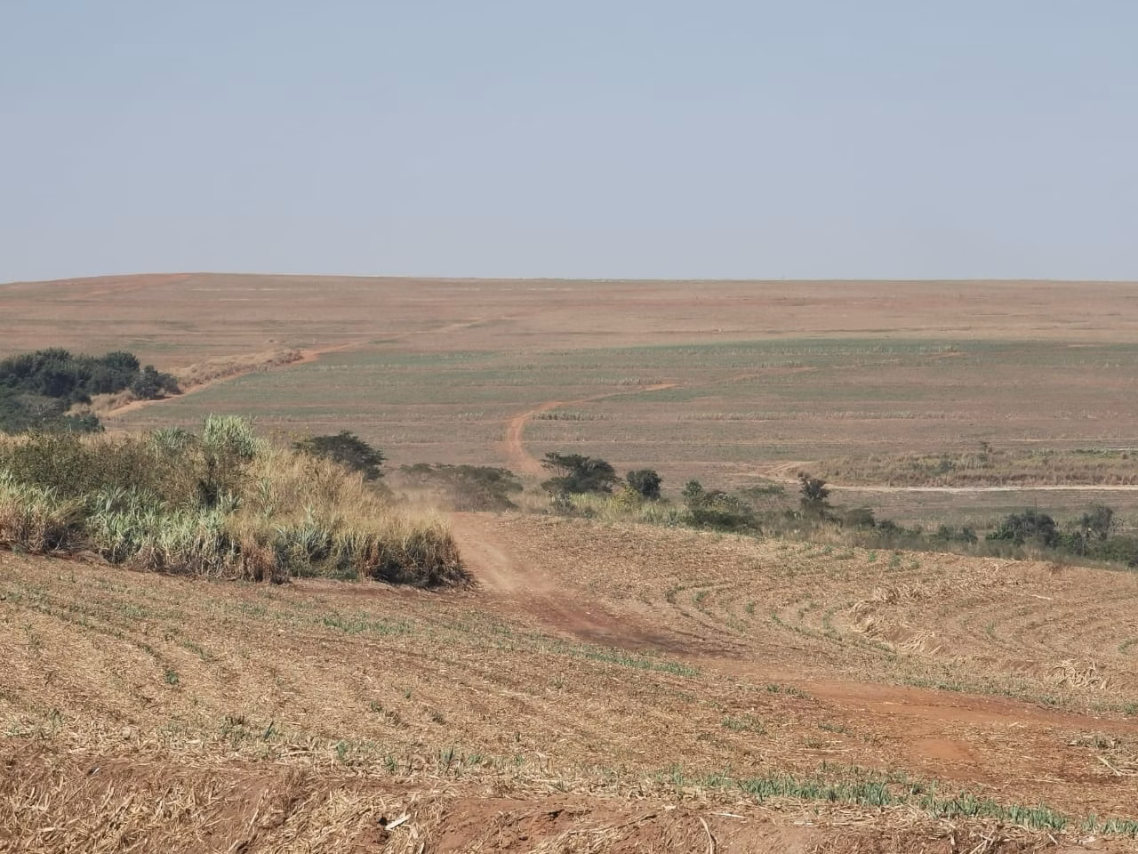 Farm of 855 acres in Santa Maria da Serra, SP, Brazil