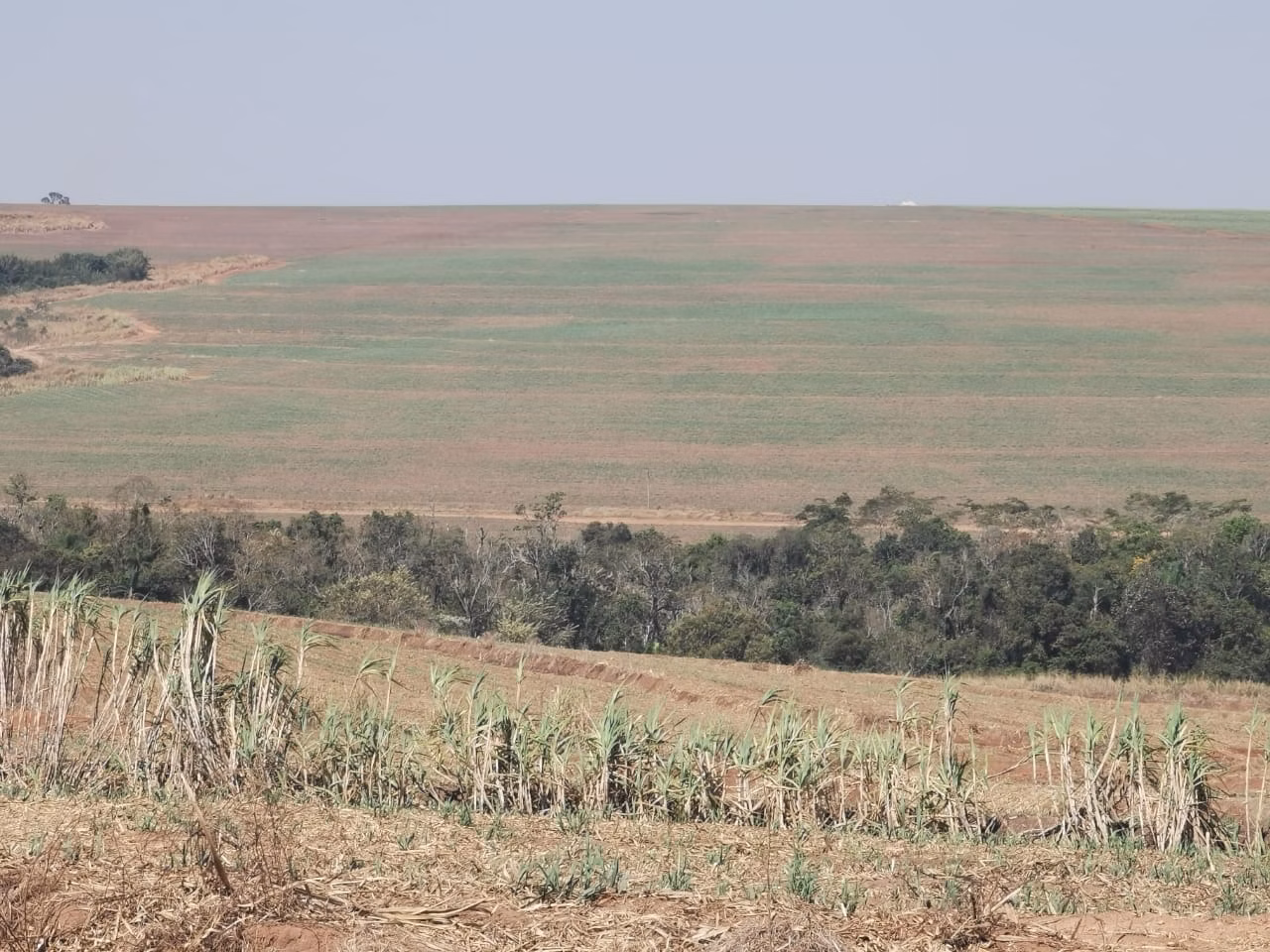 Fazenda de 346 ha em Santa Maria da Serra, SP