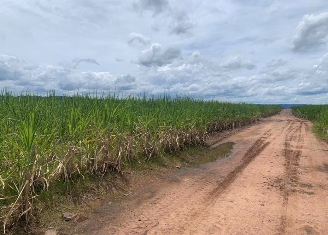 Fazenda de 346 ha em Santa Maria da Serra, SP