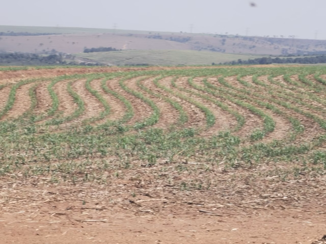 Fazenda de 346 ha em Santa Maria da Serra, SP