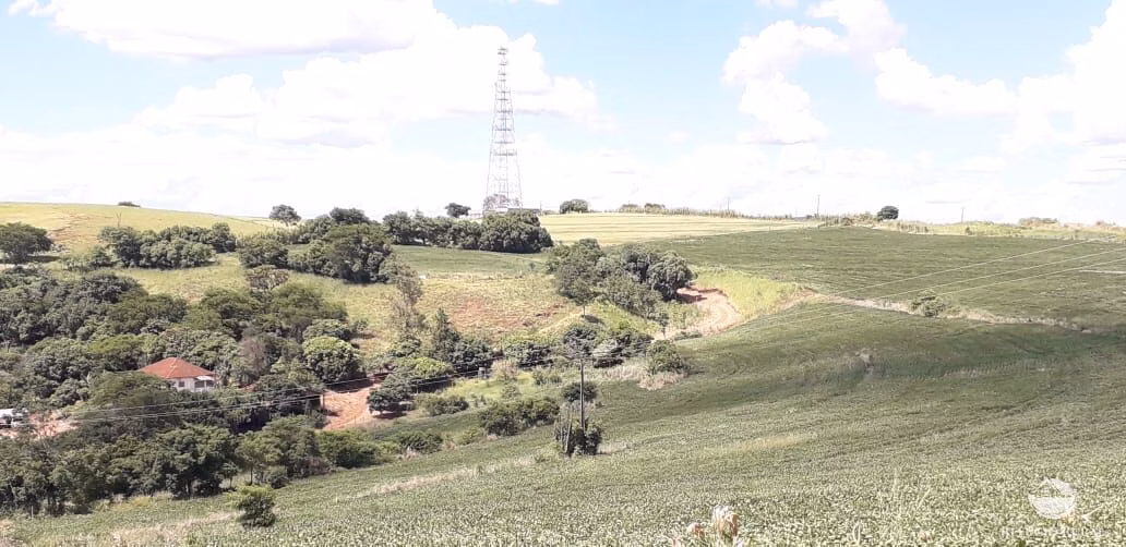 Sítio de 31 ha em Cornélio Procópio, PR