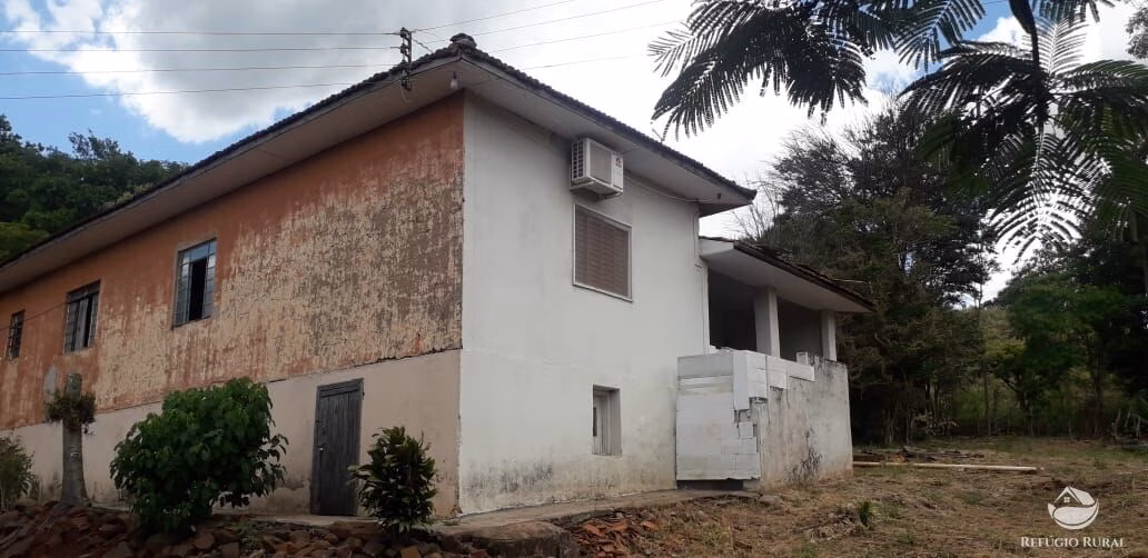 Sítio de 31 ha em Cornélio Procópio, PR