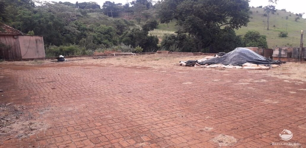 Sítio de 31 ha em Cornélio Procópio, PR