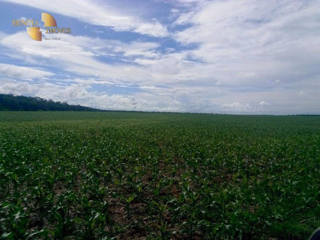 Fazenda de 2.498 ha em Nova Maringá, MT