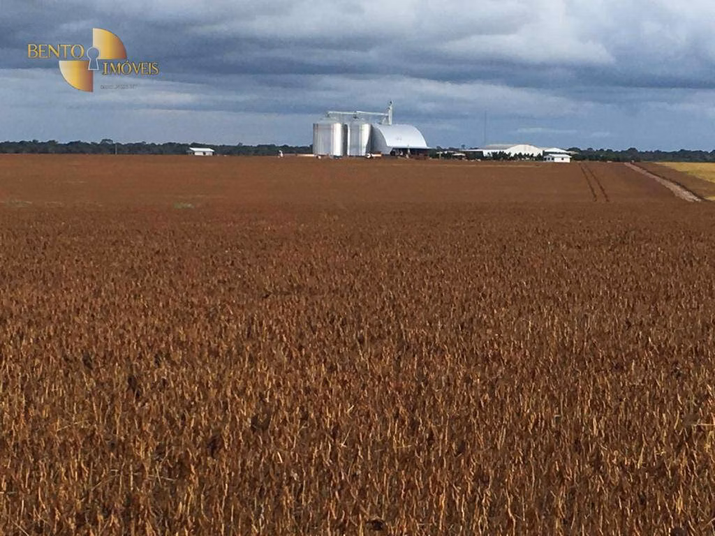 Fazenda de 2.498 ha em Nova Maringá, MT