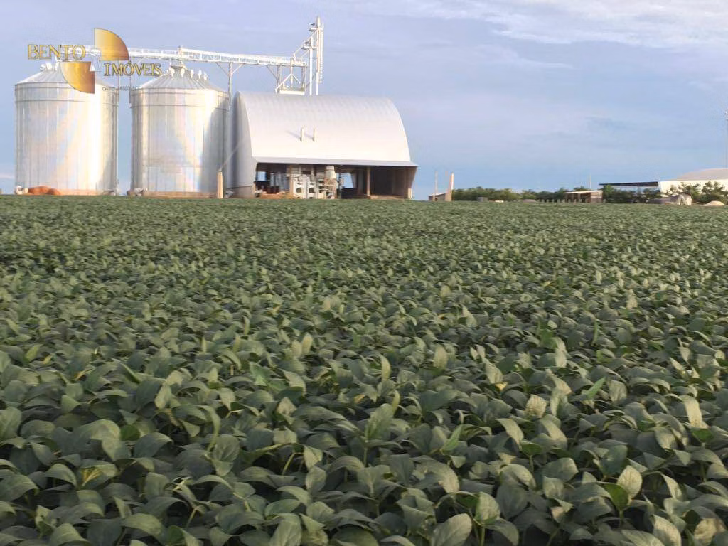 Fazenda de 2.498 ha em Nova Maringá, MT