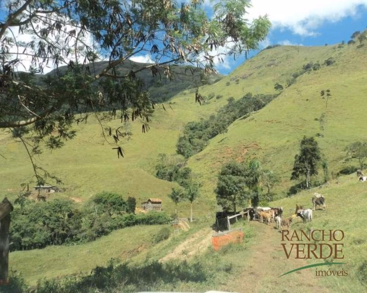 Farm of 1,740 acres in Areias, SP, Brazil