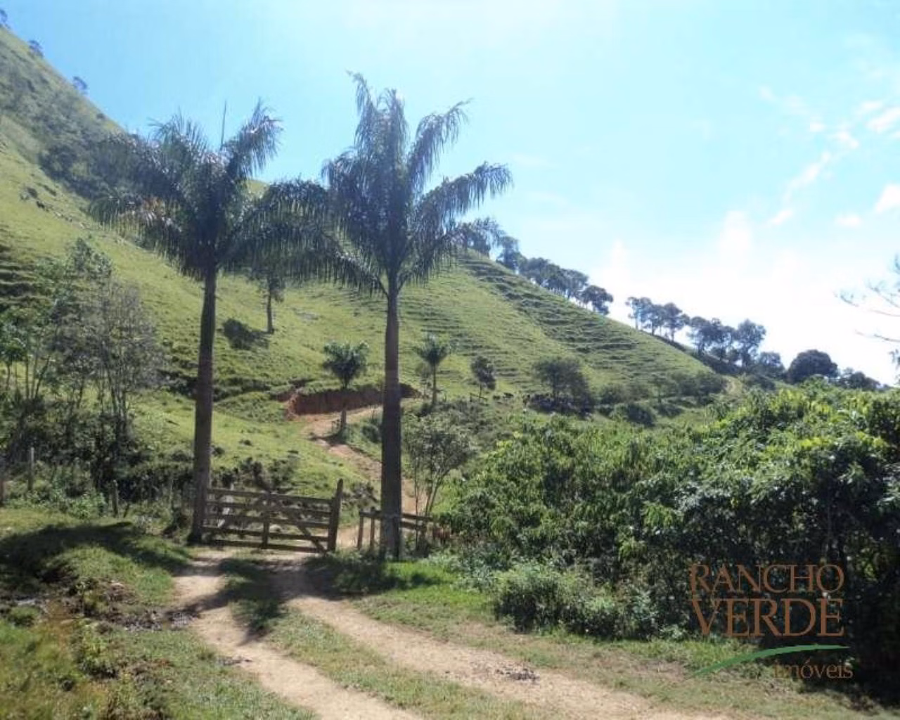 Farm of 1,740 acres in Areias, SP, Brazil
