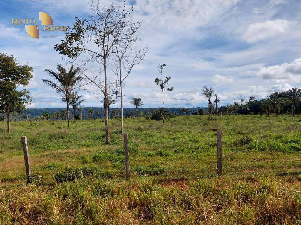Fazenda de 2.998 ha em Aripuanã, MT