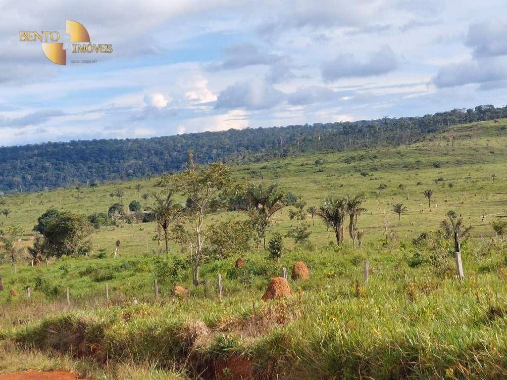 Fazenda de 2.998 ha em Aripuanã, MT