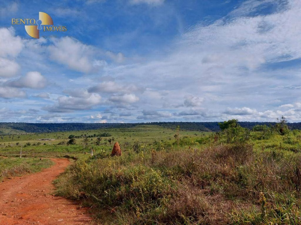 Fazenda de 2.998 ha em Aripuanã, MT
