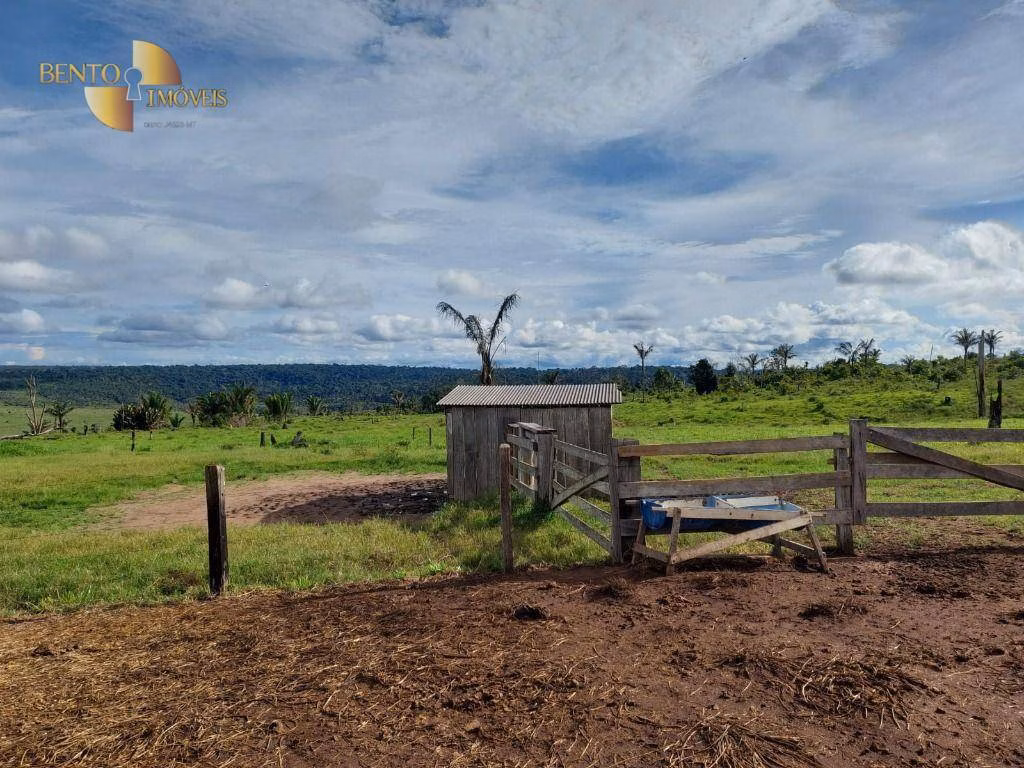 Fazenda de 2.998 ha em Aripuanã, MT