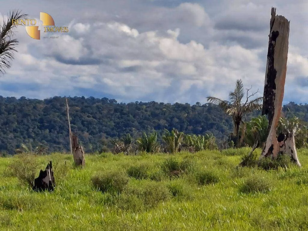 Fazenda de 2.998 ha em Aripuanã, MT