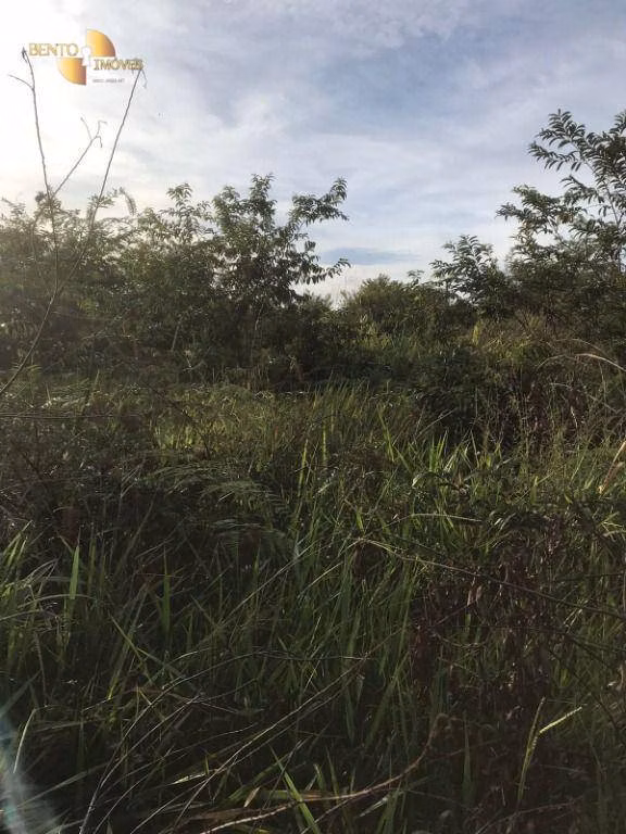 Fazenda de 2.347 ha em Marcelândia, MT