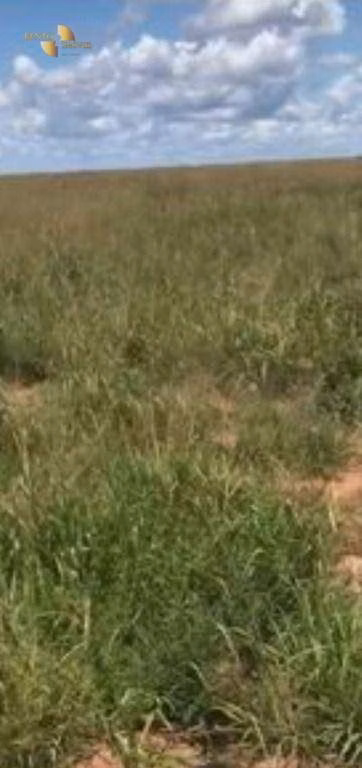 Fazenda de 2.347 ha em Marcelândia, MT