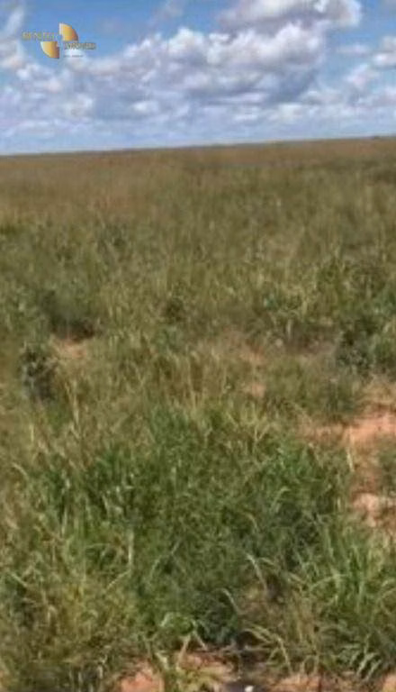 Fazenda de 2.347 ha em Marcelândia, MT