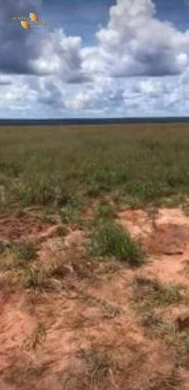 Fazenda de 2.347 ha em Marcelândia, MT