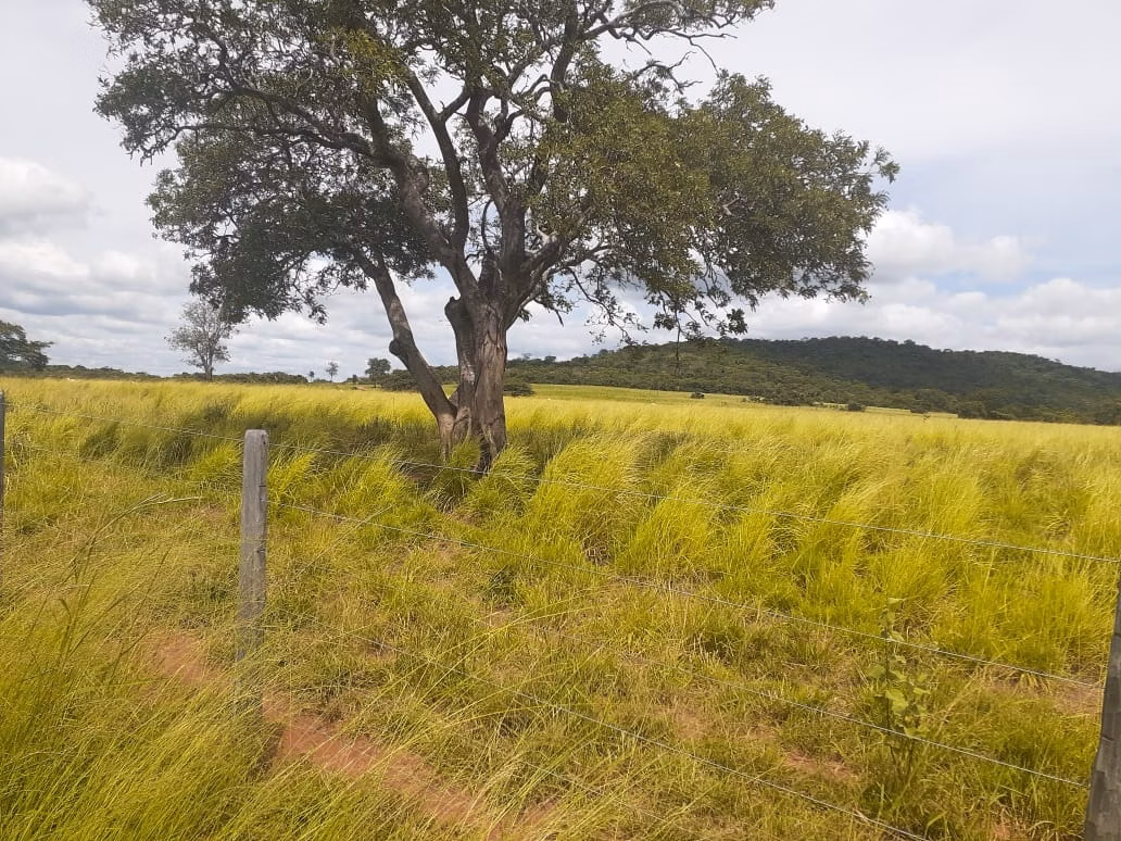 Fazenda de 2.577 ha em Campos Belos, GO