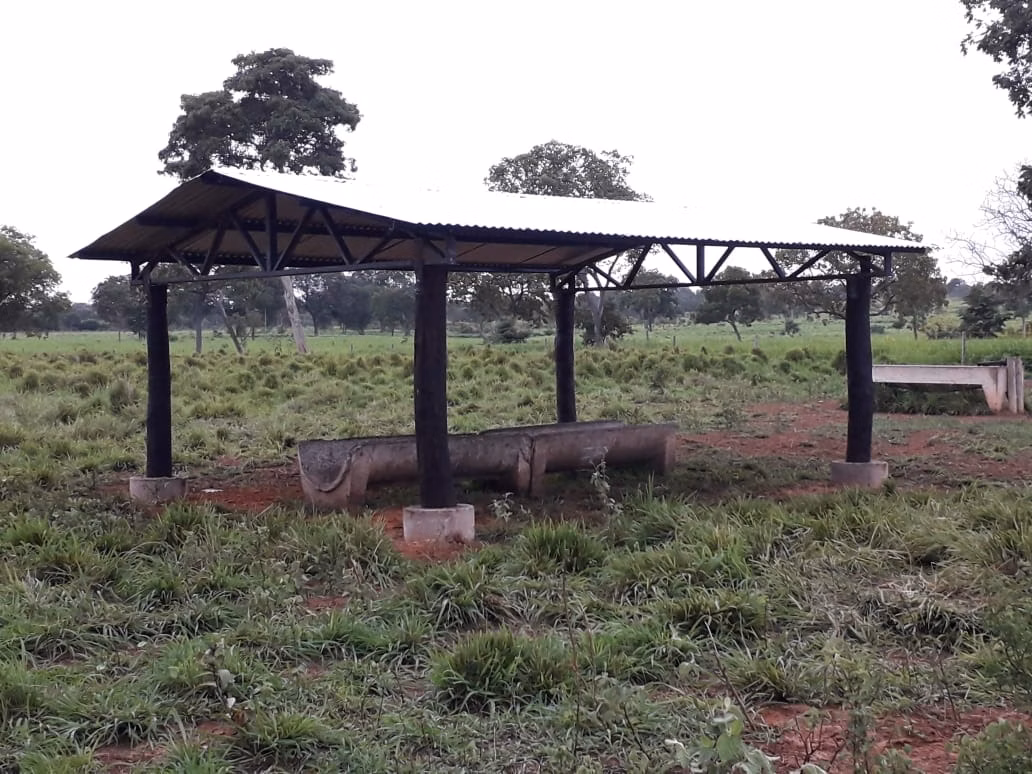 Fazenda de 2.577 ha em Campos Belos, GO