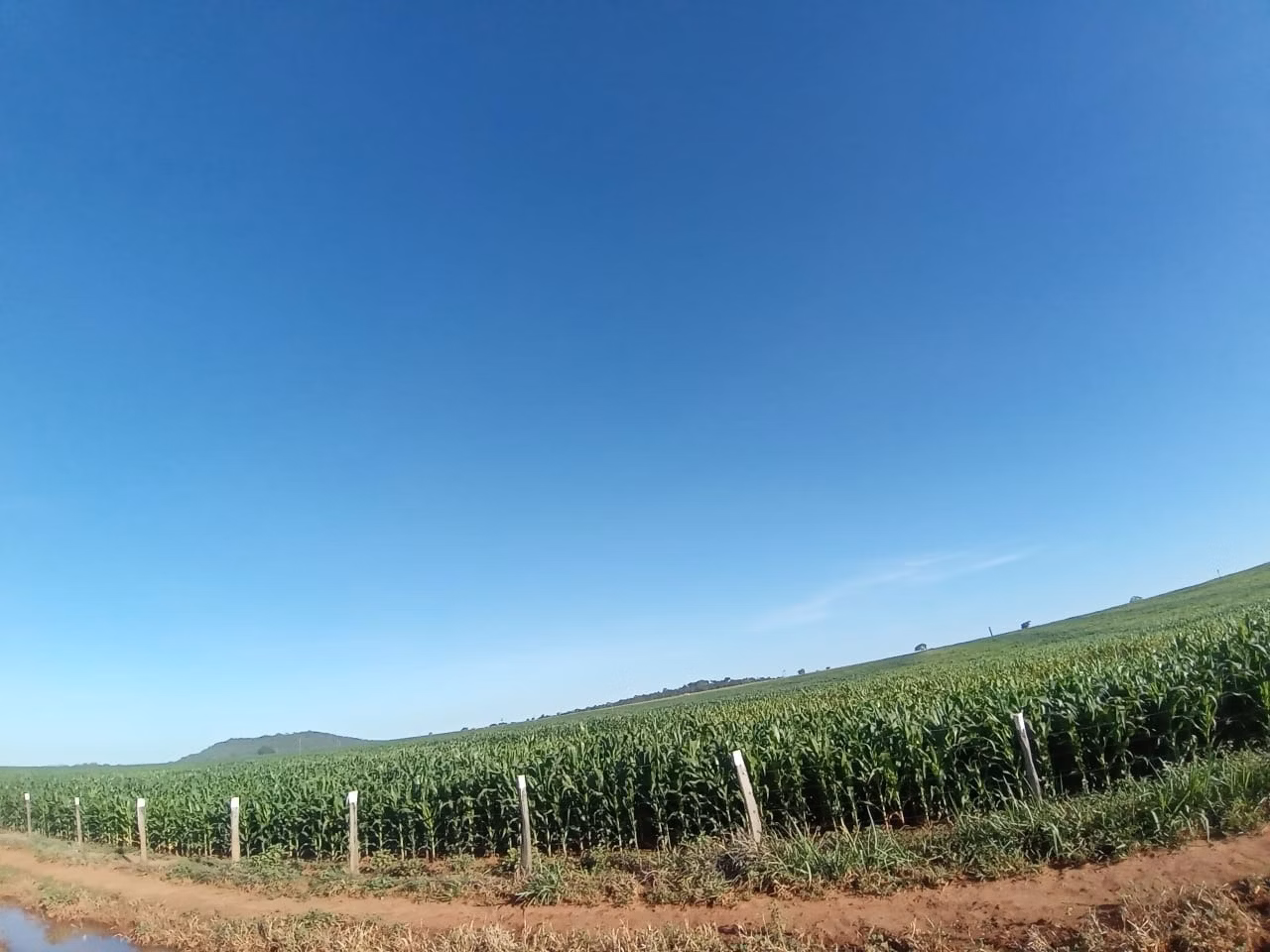 Fazenda de 2.577 ha em Campos Belos, GO
